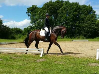 Su Pa Kani von Helloer